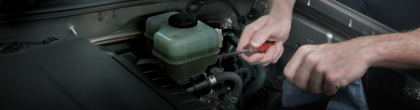 Auto Department Header