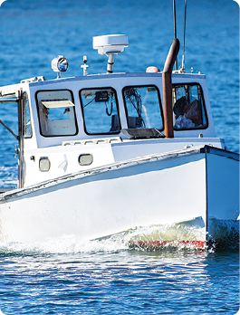 Boating & RV Supplies Department