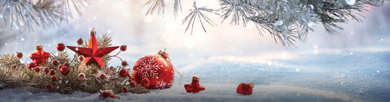 Holiday Supplies Header