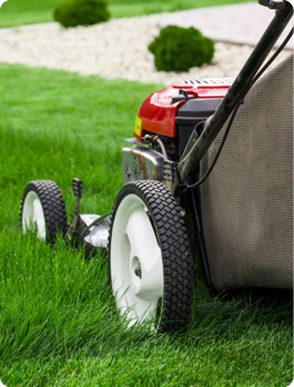 Lawn & Garden Department